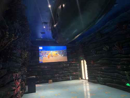 pjtime.com 行業新聞 贏康