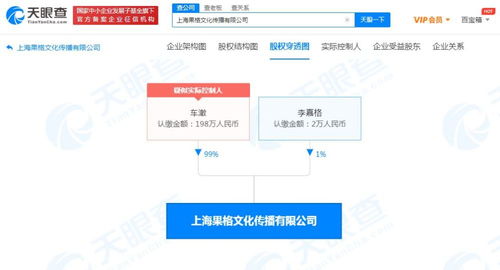 市場(chǎng)營銷策劃 戰(zhàn)略構(gòu)建與執(zhí)行的藝術(shù)